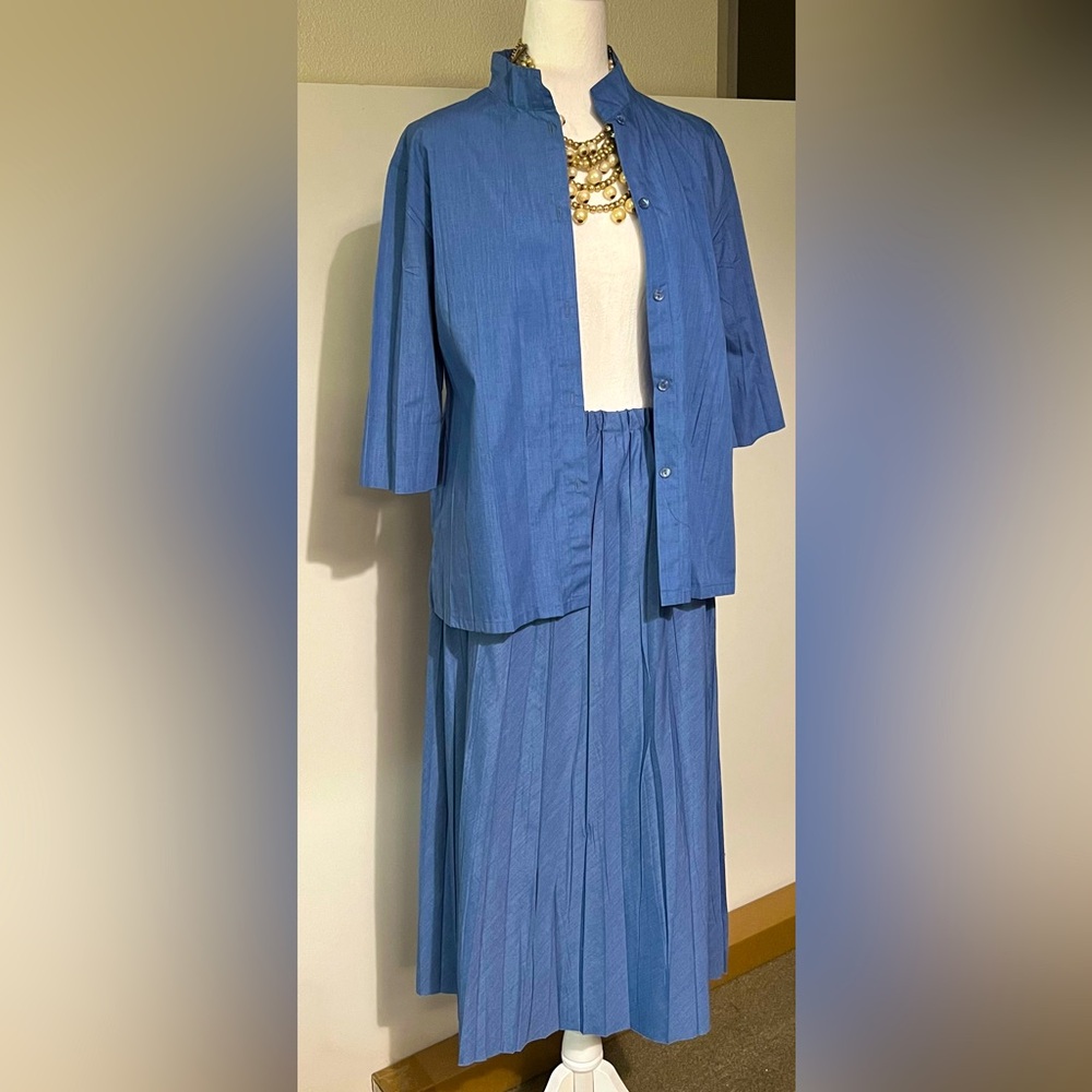 Babette of San Francisco, pleated blouse and skirt set **necklace not included